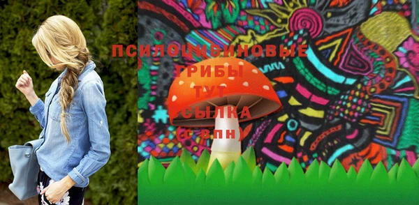 не бодяженный Арсеньев