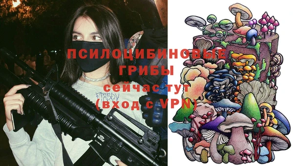 молекула духа Армянск