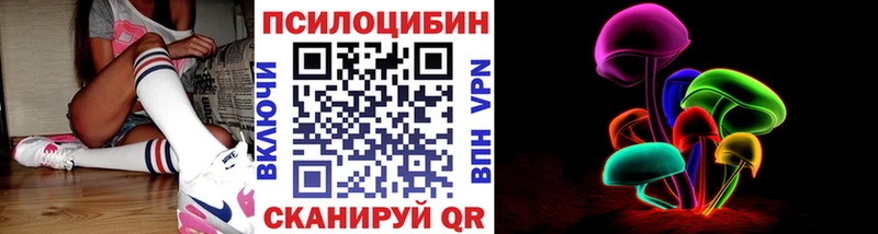 KRAKEN как зайти  Снежногорск  Галлюциногенные грибы Psilocybine cubensis 